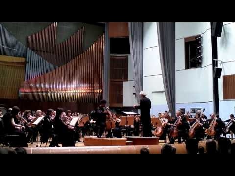 Sarasate -  Zigeunerweisen (Gypsy Airs)